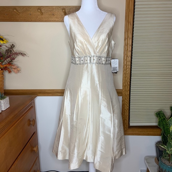Jones New York Dresses & Skirts - NWT Jones New York 100% Silk Formal Dress Size 6
